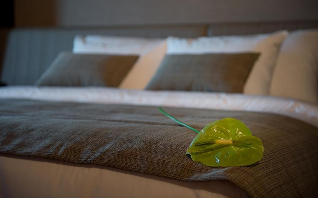 Kronwell Brasov Hotel Εξωτερικό φωτογραφία